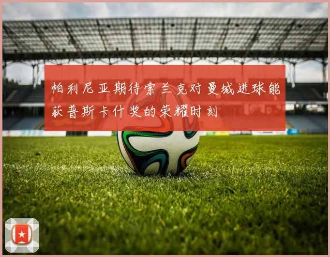 帕利尼亚期待索兰克对曼城进球能获普斯卡什奖的荣耀时刻