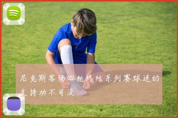 尼克斯客场四轮终结系列赛球迷的支持功不可没